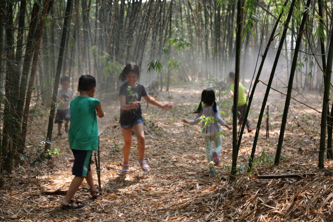 Cho con chạm vào thiên nhiên